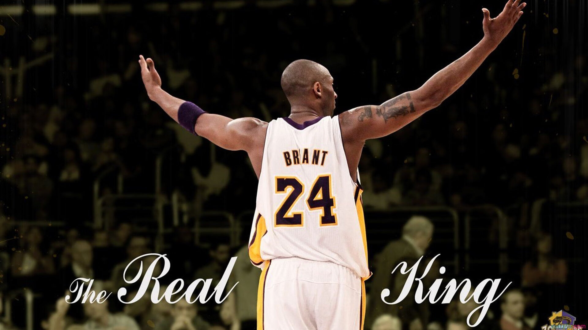 绝杀背后,当莫兰特用冠军级表现撕碎宿命剧本